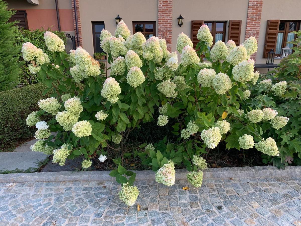 Agriturismo Sarmore Salmore 외부 사진